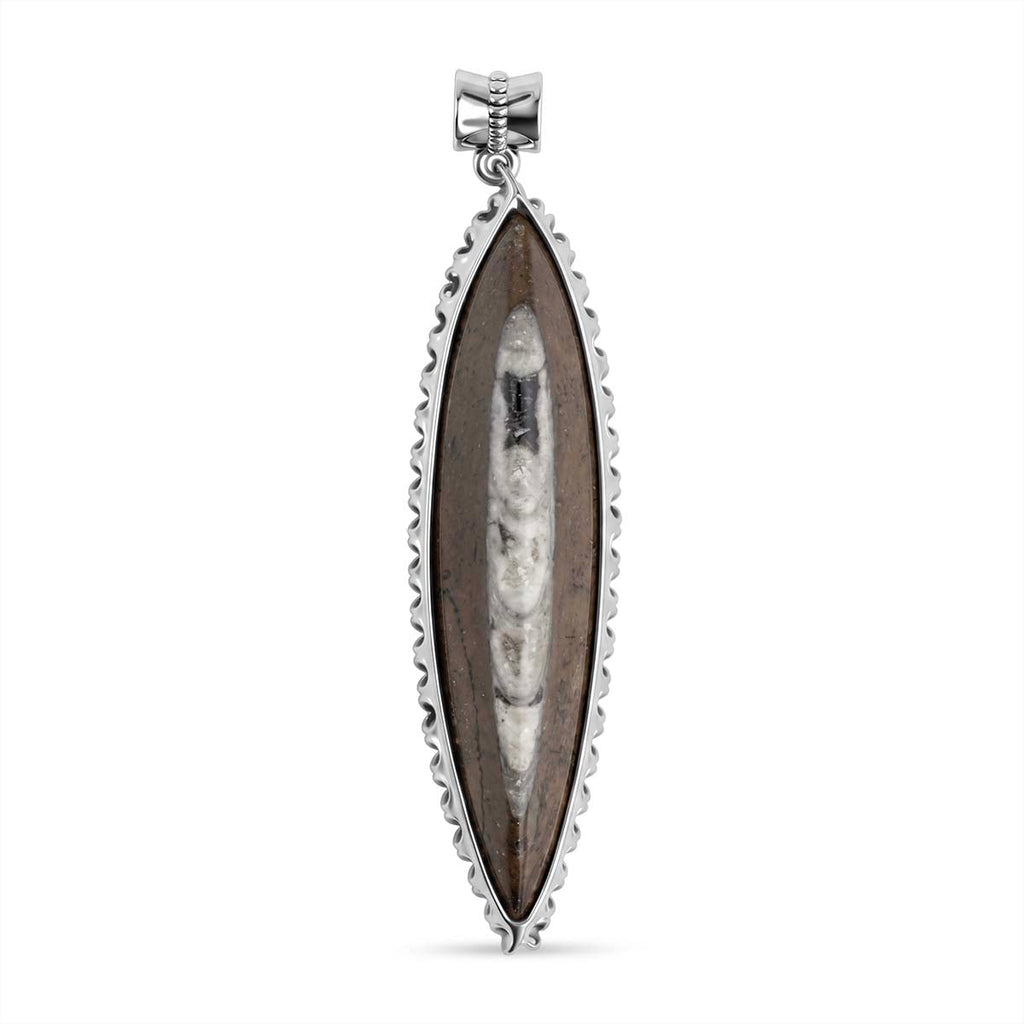 The Artefact Collection - Orthoceras Handmade Pendant 59.00 Ct.