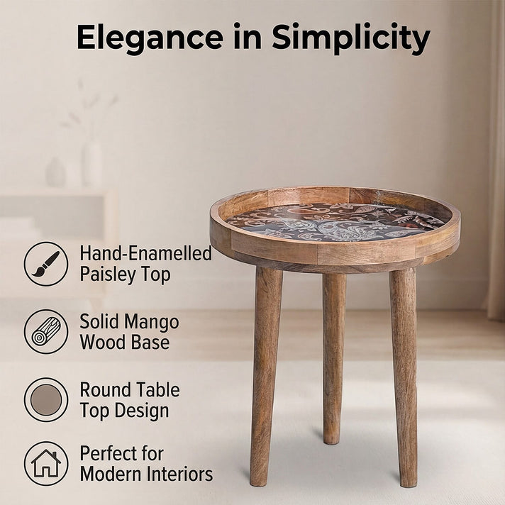 Mango Wood Enamelled Coffee Table (Size 45 x 45 cm) Flat Packed - Black 8194231 2