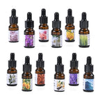 BIG BARGAIN - LIVMORE Set of 12 Aroma Oils for Diffusers, Humidifiers Aromatherapy and more - 10ML Bottles_8203434_6