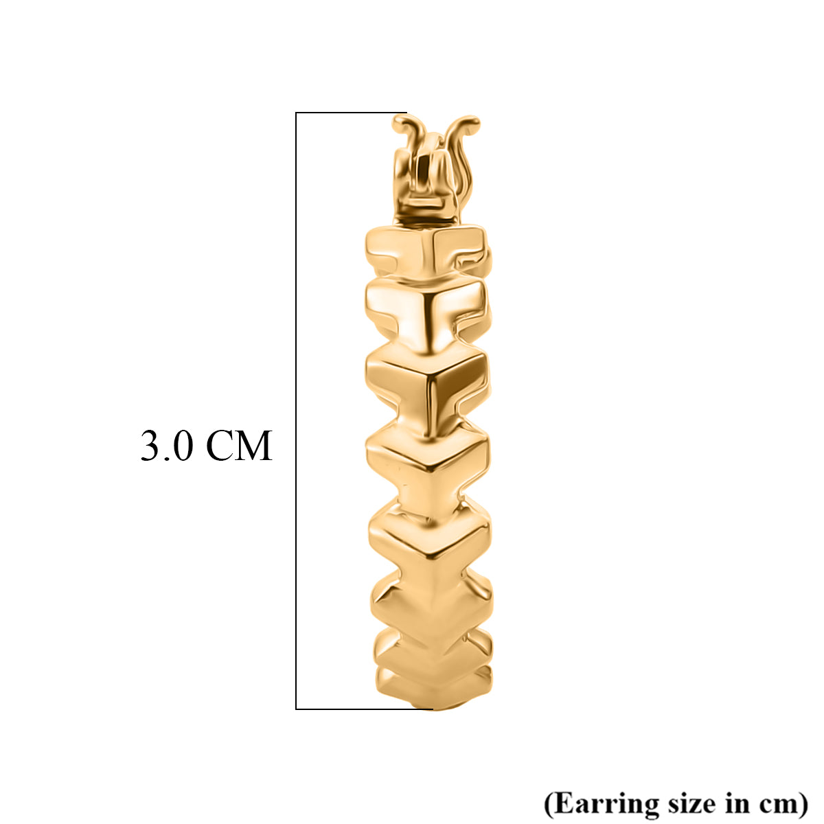 EverTrue Bronzella Collection - Full Hoop Earring with Clasp in 18K Gold Plating 8229407 5