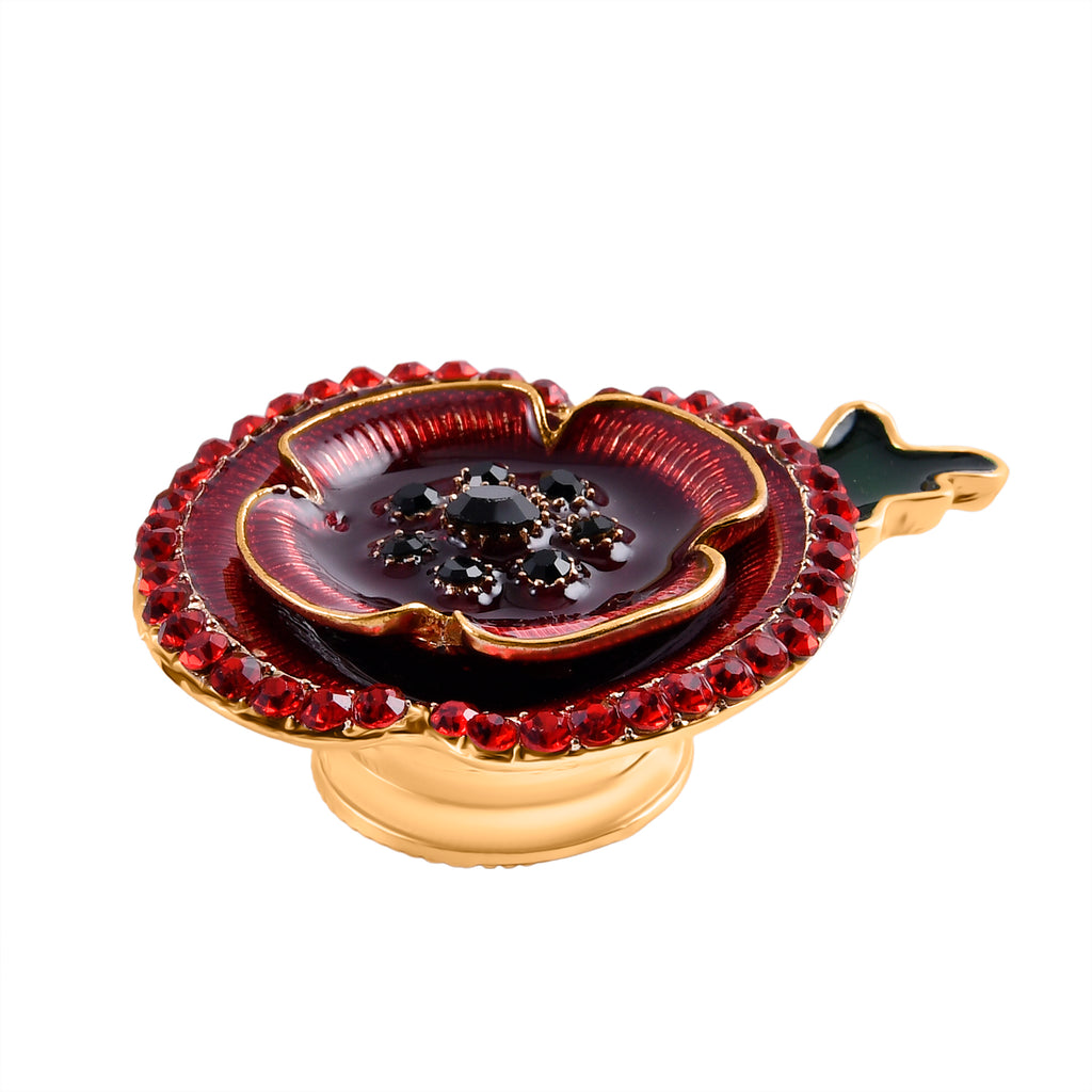 Austrian Red Crystal & Austrian Black Crystal Magnetic Brooch in Yellow Gold Tone_8232500_3