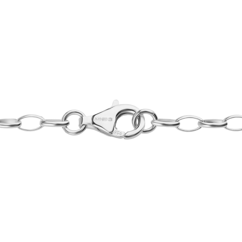 Amber Sterling Silver Necklace (Size - 20) 20.00 Ct, Silver Wt. 16.50 Gms_8233521_3