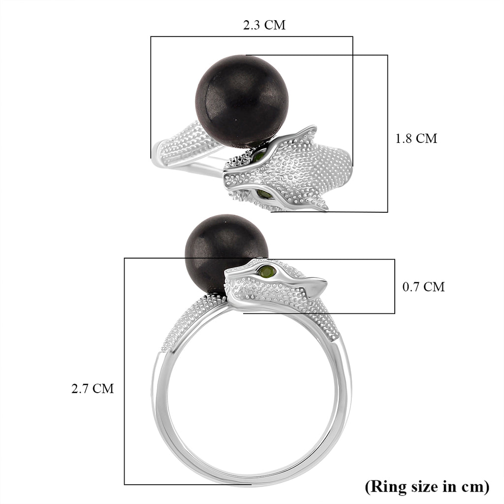 D'Joy Shungite & Natural Chrome Diopside Panther Ring in Rhodium Overlay Sterling Silver 5.56 Ct._8247067_4