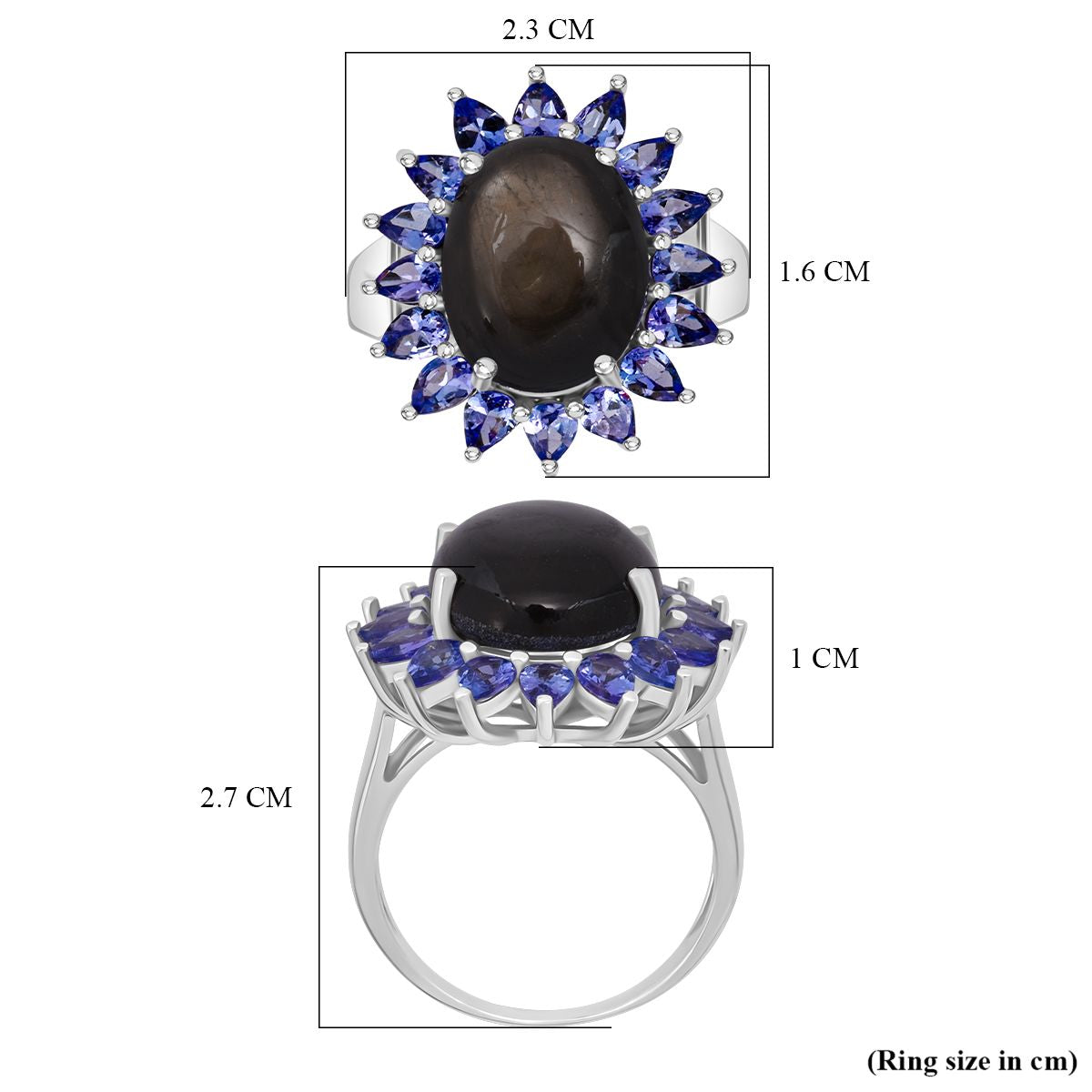 D'Joy Chantaburi Black Star Sapphire, Tanzanite Halo Ring in Rhodium Overlay Sterling Silver 17.66 Ct. V32520204 5
