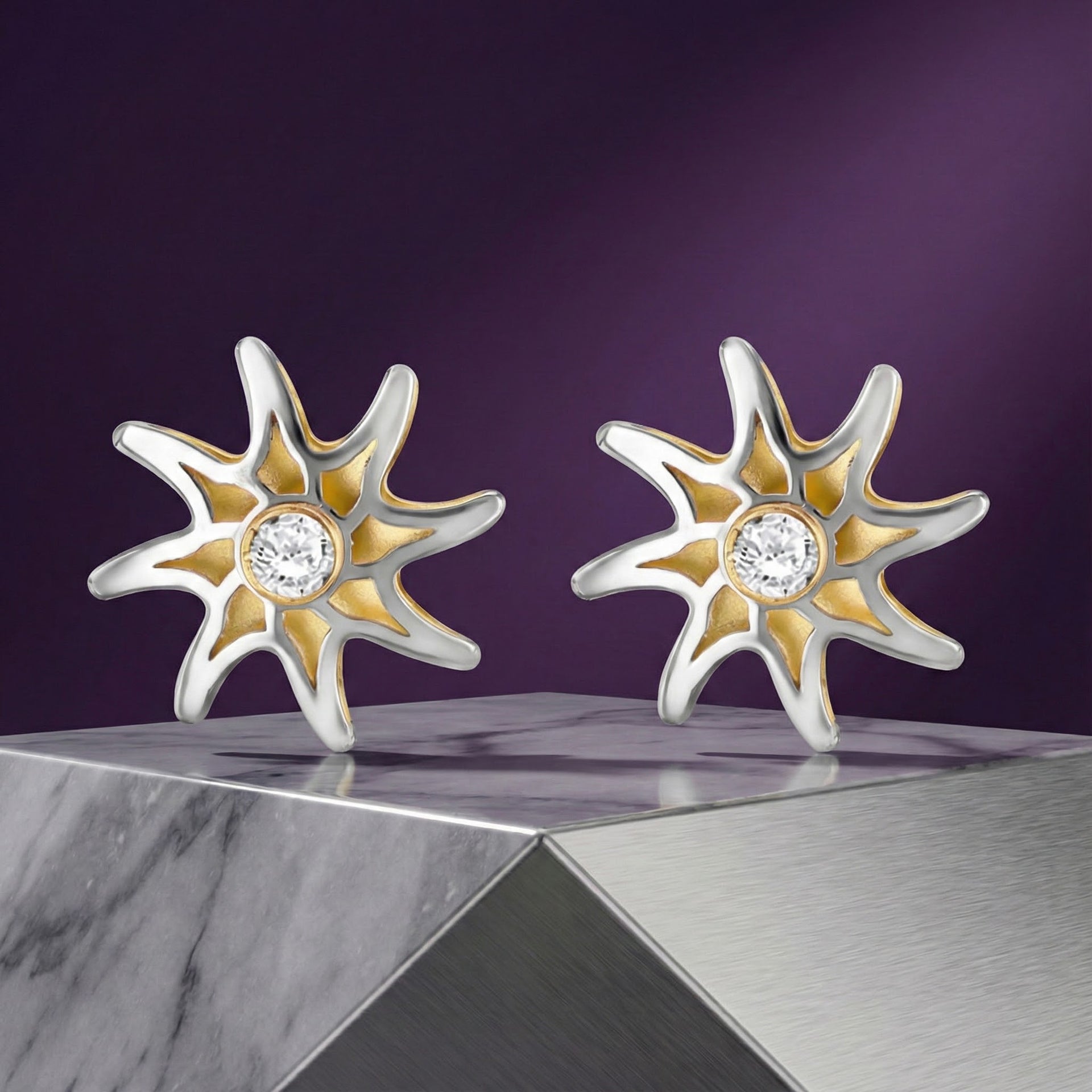 9K Yellow &amp; White Gold Star Earring with Push Back 8312994 3