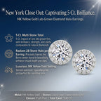 New York Close Out - 14K Yellow Gold Lab Grown Diamond (VS/GH) Halo Earring with Push Back 5.00 Ct._8354286_7