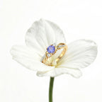 D'Joy - Tanzanite & Moissanite Ring in 18K Vermeil Yellow Gold Plated Sterling Silver_8357234_6