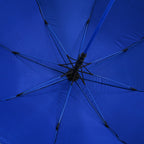 Double Layer Inverted Manual Open Stick Reverse Umbrella - Blue & Black_8413559_6