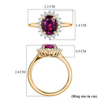 D'Joy Natural Royal Ember Garnet & Moissanite Sunburst Ring in 18K Vermeil Yellow Gold Plated Sterling Silver 1.71 Ct._8422986_5