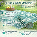 Livmore Indoor/Outdoor Rug 440 Gsm Mat (Size 120x180 Cm) - Teal_8486087_2