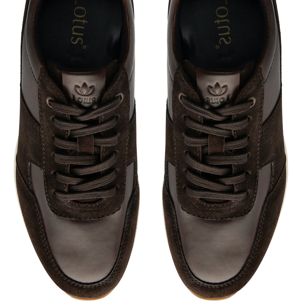Lotus Tirso Mens Leather Lace-Up Casual Shoes (Size 12) - Brown_8504228_3