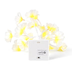 Night Light (Size - One Size) - Yellow_8519600_3