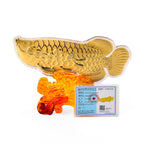 24K : Yellow : Gold(mg) : Standard Accessories, Gold Wt.50 Gms_8521125_3