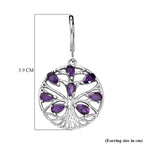 EverTrue - African Amethyst Earring with Lever Back 3.34 Ct._8528095_5