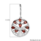 EverTrue - Red Garnet Earring with Lever Back 4.28 Ct._8528098_5