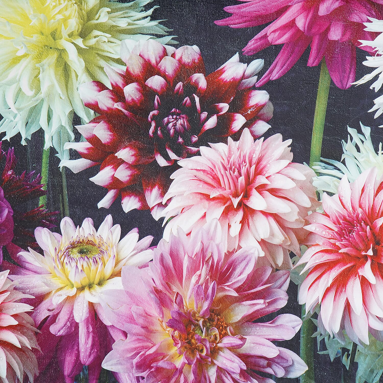LIVMORE Single-Sided Digital Print Flannel Blanket (150x200cm) - Dahlias V32514811 2