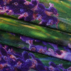LIVMORE Single-Sided Digital Print Flannel Blanket (150x200cm) - Lavender_8528119_3