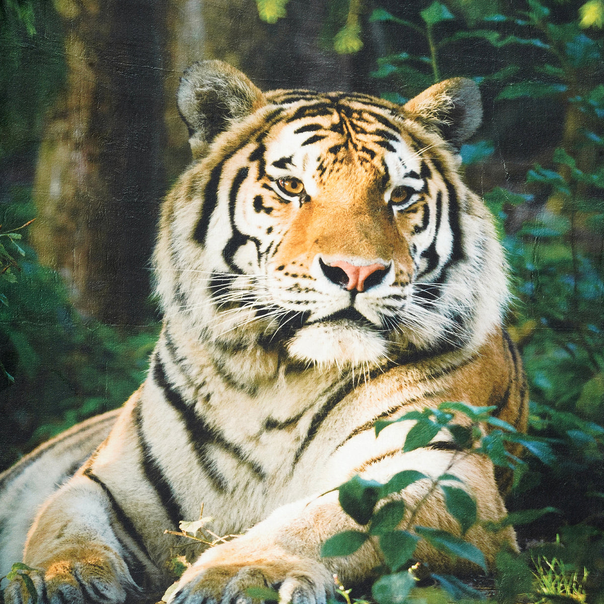 LIVMORE Tiger Print Soft Flannel Fleece Throw Blanket (154 x 212 cm) - Multi-colour V32580028 1