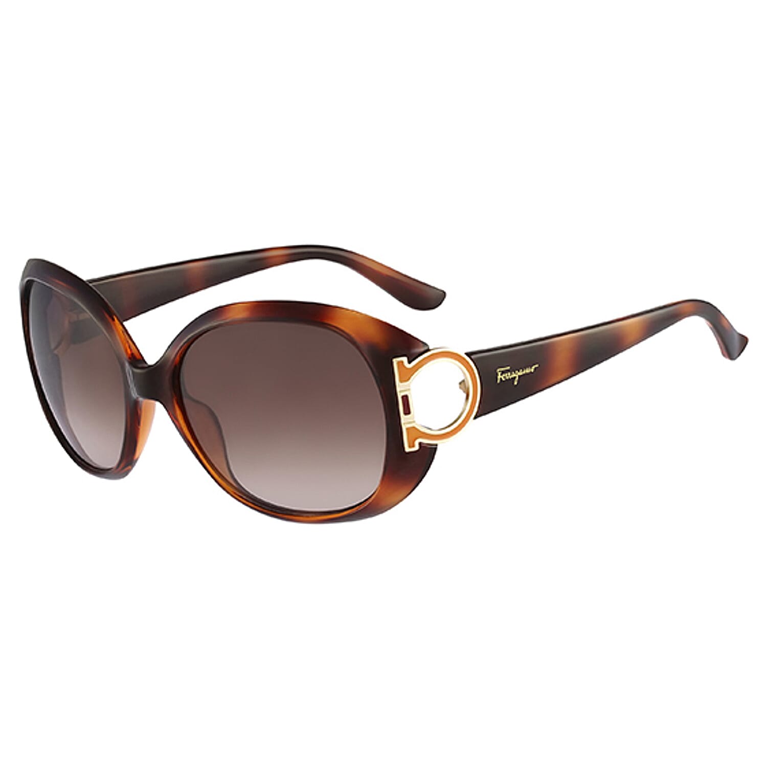 Salvatore Ferragamo Ladies Oval Havana Sunglasses With Ferragmo Logo Temple V32521021 0
