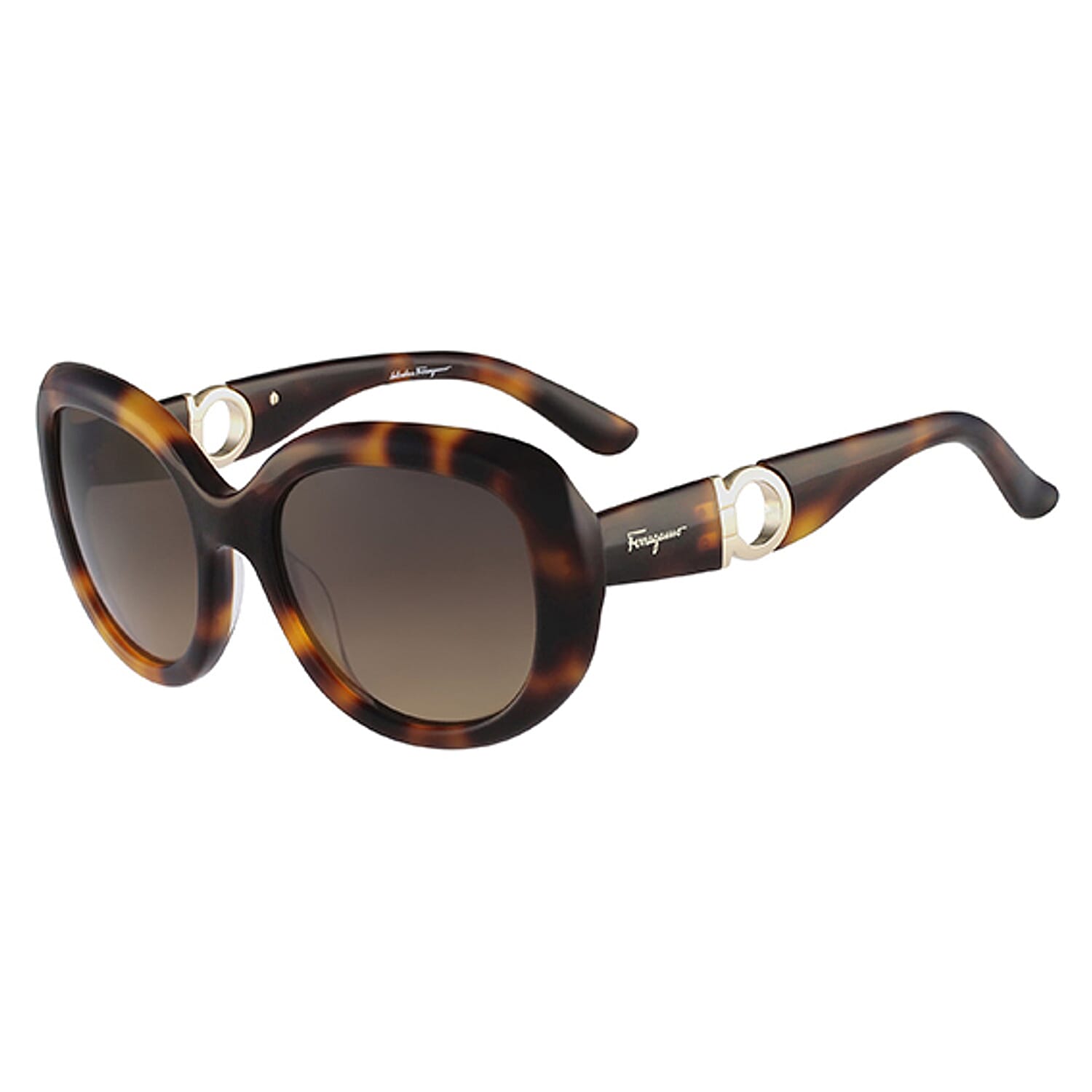 Salvatore Ferragamo Ladies Oval Dark Havana Sunglasses With Ferragmo Logo V32525988 0