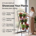 6-Circle Metal Plant Rack - 80cm Tall Black Tiered Garden Stand