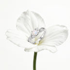 D'Joy - Rainbow Moonstone Glow & Moissanite Ring in Rhodium Overlay Sterling Silver_8588066_5