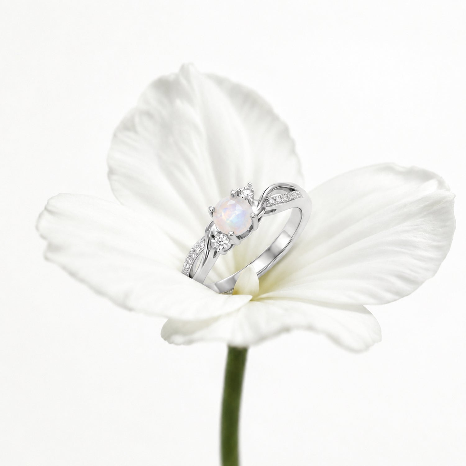 D'Joy - Rainbow Moonstone Glow &amp; Moissanite Ring in Rhodium Overlay Sterling Silver 8588066 5