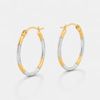 9K Yellow Gold Earring with Clasp in Two Tone Plating_8593468_3