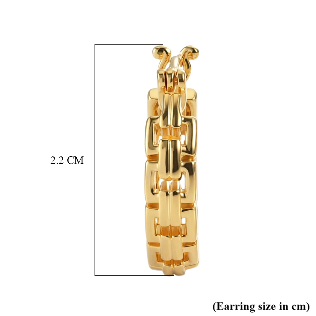 EverTrue Bronzella Collection - Full Hoop Earring with Clasp in 18K Gold Plating 8607587 5