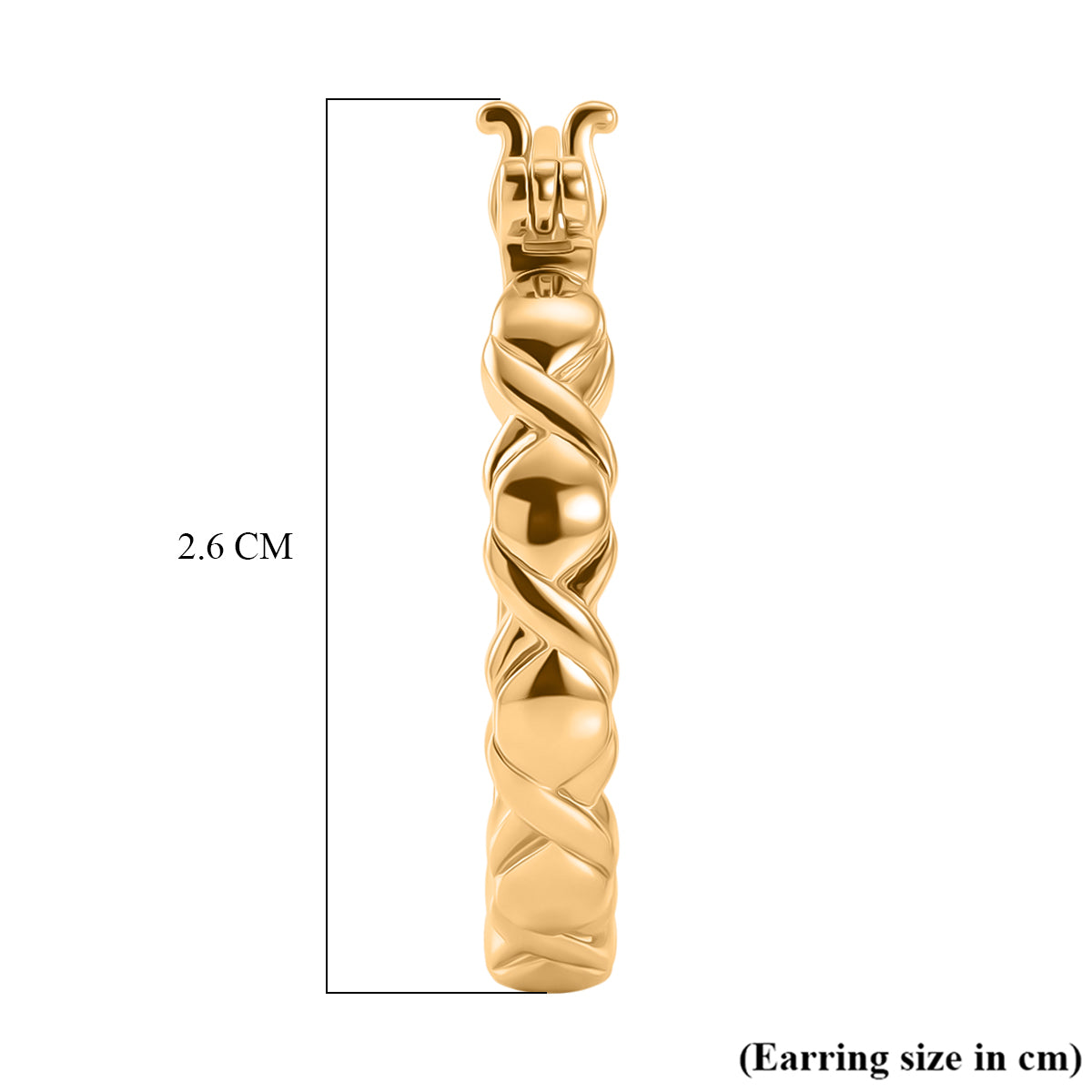 EverTrue Bronzella Collection - Full Hoop Earring with Clasp in 18K Gold Plating V32521061 5