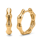 EverTrue Bronzella Collection - Hoop Earring in 18K Gold Plating_8608117