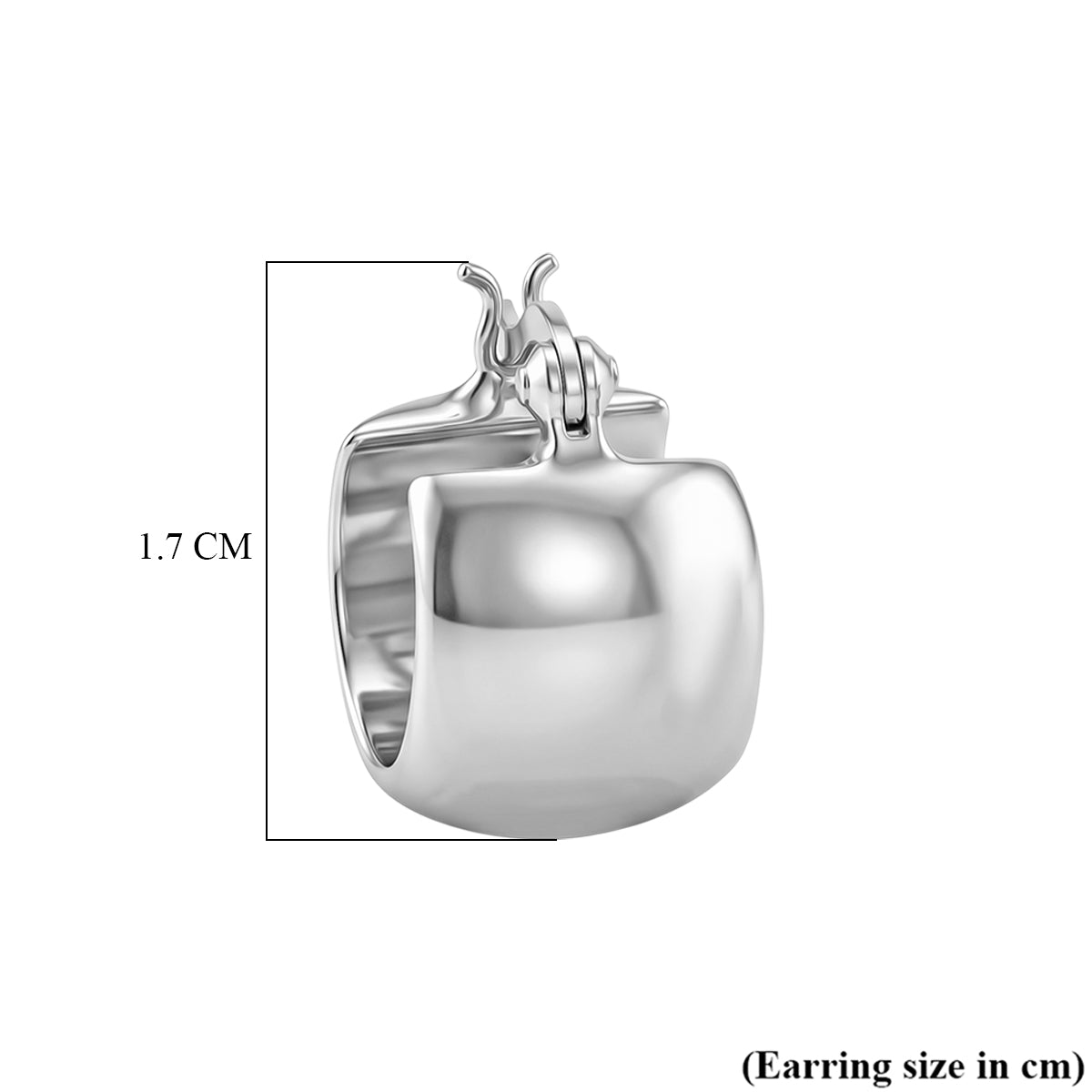 Sterling Silver Chunky Hoop Earring with Clasp V32516719 5