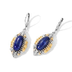 EverTrue Lapis Lazuli Fancy Earring Pure Yellow Brass  8.920  Ct._8631472