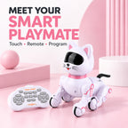 Toy (Size - One Size) - Gold_8634642_2