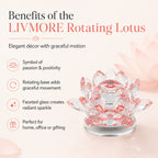 LIVMORE Showpiece (Size - One Size) - Red_8642562_2