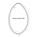Las Vegas Closeout Deals Fresh Water Pearl 12x9MM Sterling Silver Necklace (Size - 18) with Lobster Clasp 230.00 Ct_8662979_5