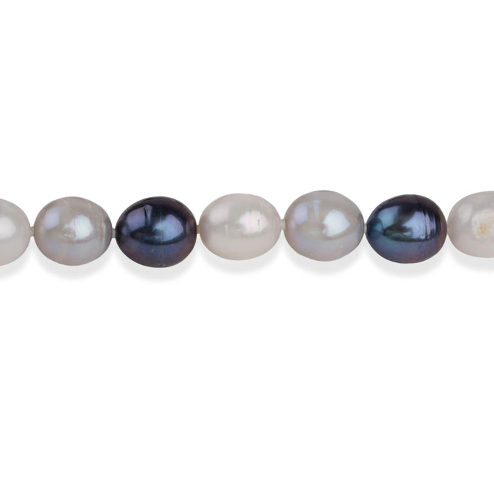 LA Closeout Deals Multi Colour Peacock, Silver &amp; White Fresh Water Pearl Necklace (Size - 18) With Sterling Silver Lobster Clasp 225.00 Ct. 8663239 2
