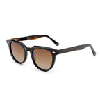 Soho Square Osaka Panto Unisex Sunglasses - Tortoise - 49-23-145_8667801