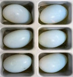 Set of 6 - Opalite Egg Shape Gemstone 560.30 Ct._8668153