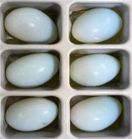 Set of 6 - Opalite Egg Shape Gemstone 560.30 Ct. V32516413 0