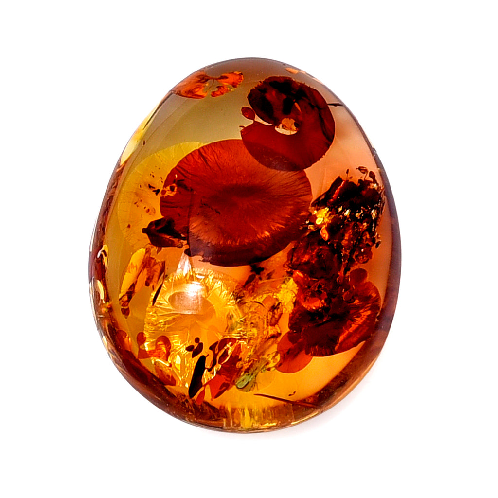 Amber Accessories  101.000  Ct._8679216