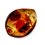 Amber Accessories  127.000  Ct._8679217_2
