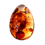 Amber Accessories  172.000  Ct._8679218