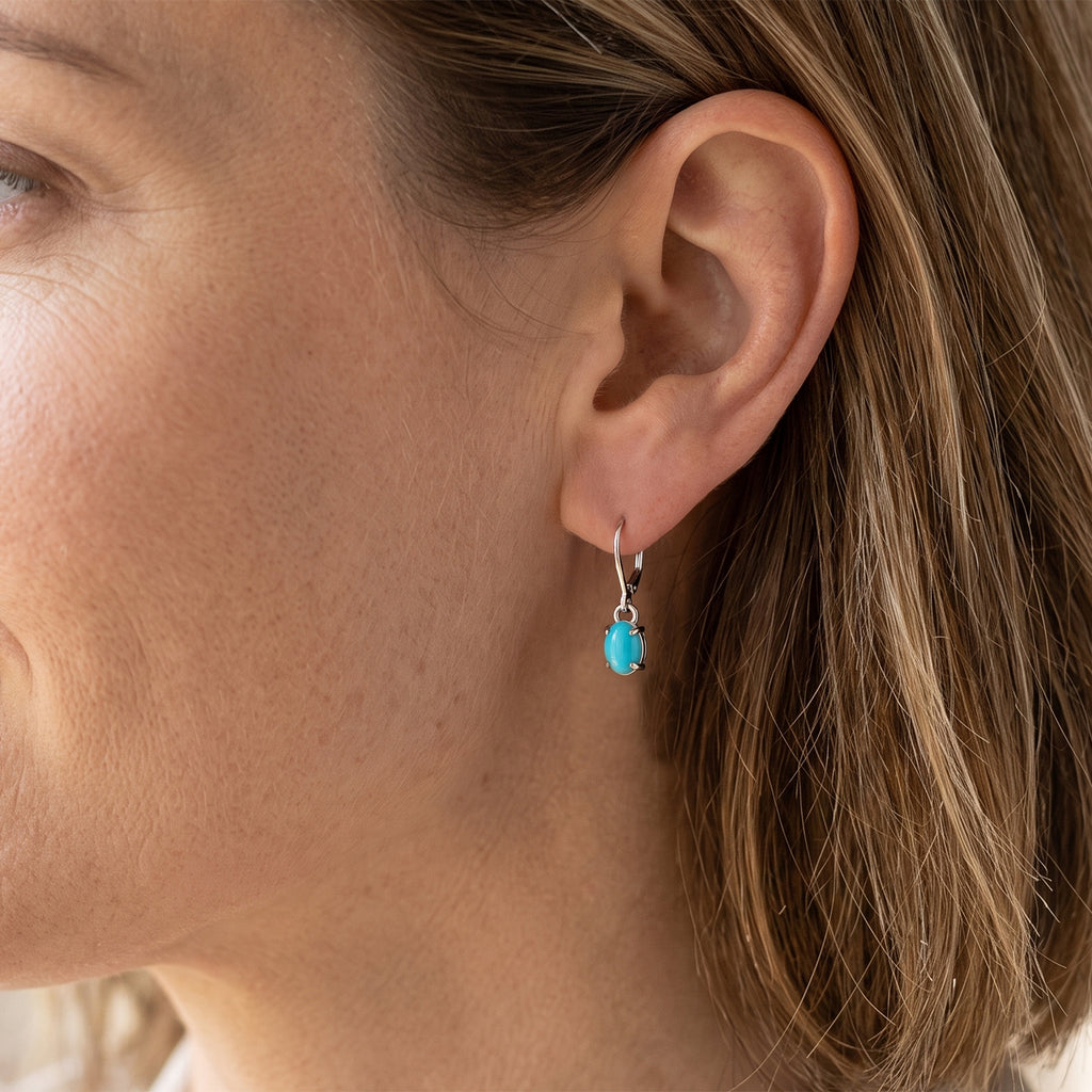 D'Joy Blue Turquoise Earring in Platinum OverlaySterling Silver  0.960  Ct._8683413_1