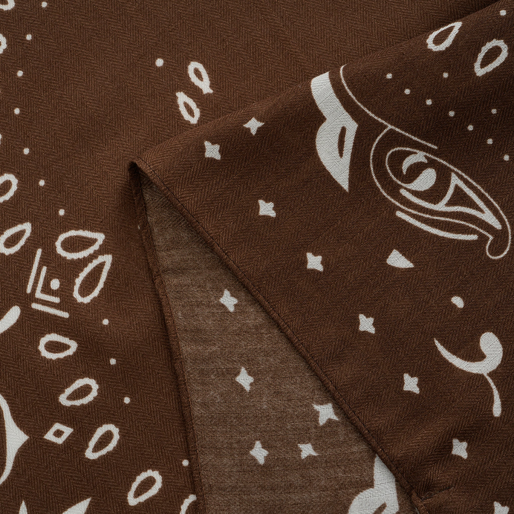 Printed Scarf (Size - One Size) - Brown_8683781_7