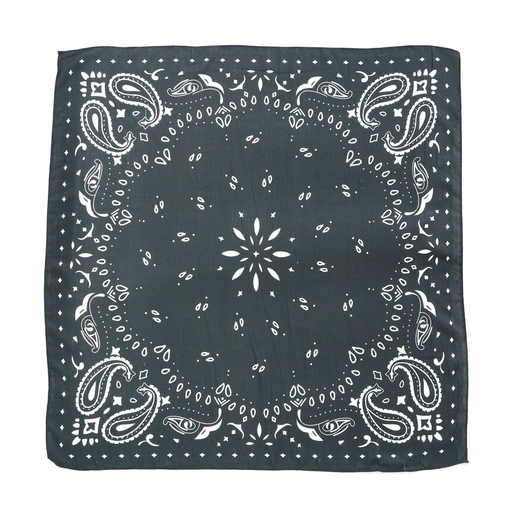 Printed Scarf (Size - One Size) - Navy Blue_8683782_5