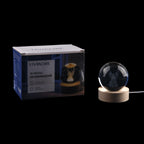 LIVMORE Night Light (Size - One Size) - Transparent_8695068_5
