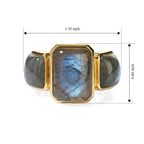 EverTrue - Labradorite Trilogy Ring in Yellow Gold Tone 14.07 Ct._8697061_5