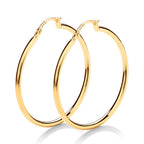 9K Yellow Gold Hoop Earring with Clasp_8699310