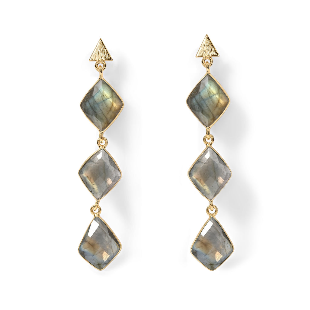 Labradorite Drop Earrings_8713466